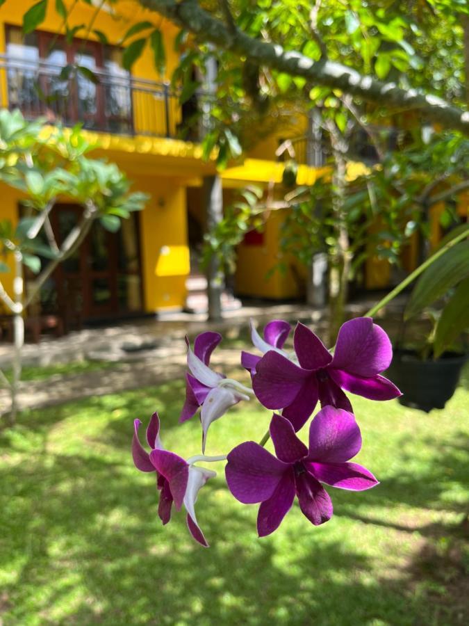 Easy Living Hotel Hikkaduwa Buitenkant foto