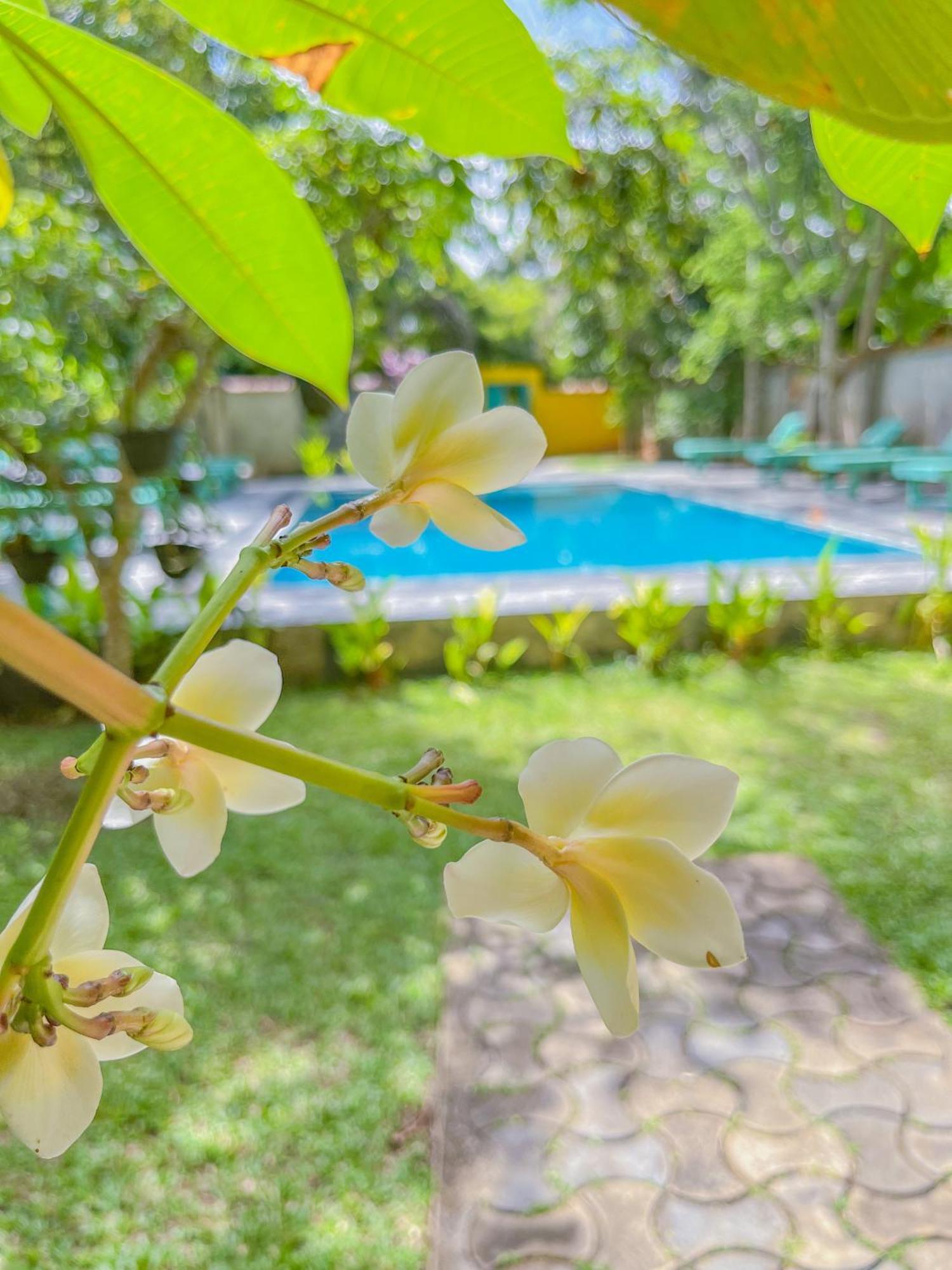 Easy Living Hotel Hikkaduwa Buitenkant foto