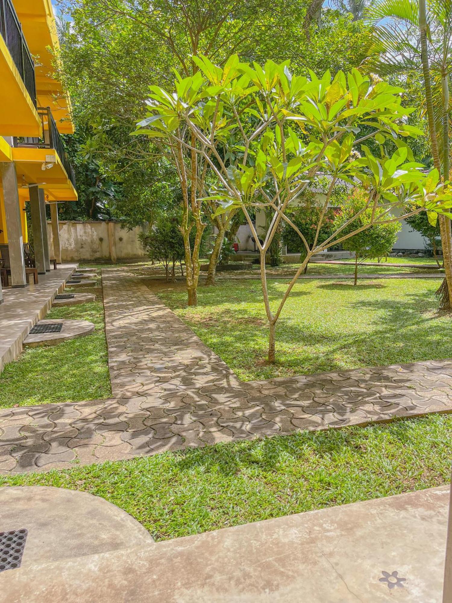 Easy Living Hotel Hikkaduwa Buitenkant foto
